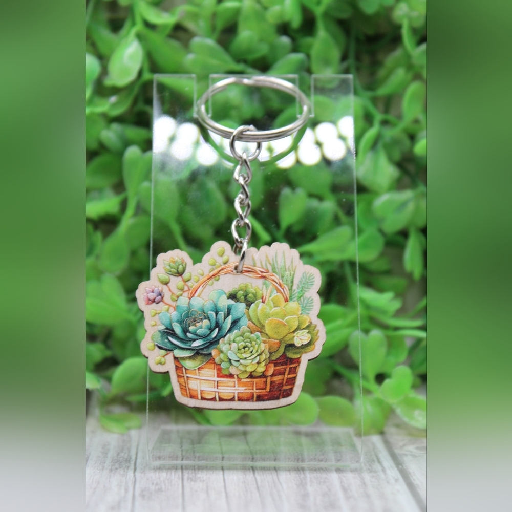 Charming Succulent Basket Key Holder